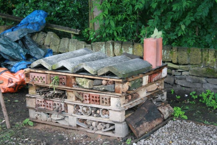 bug hotel